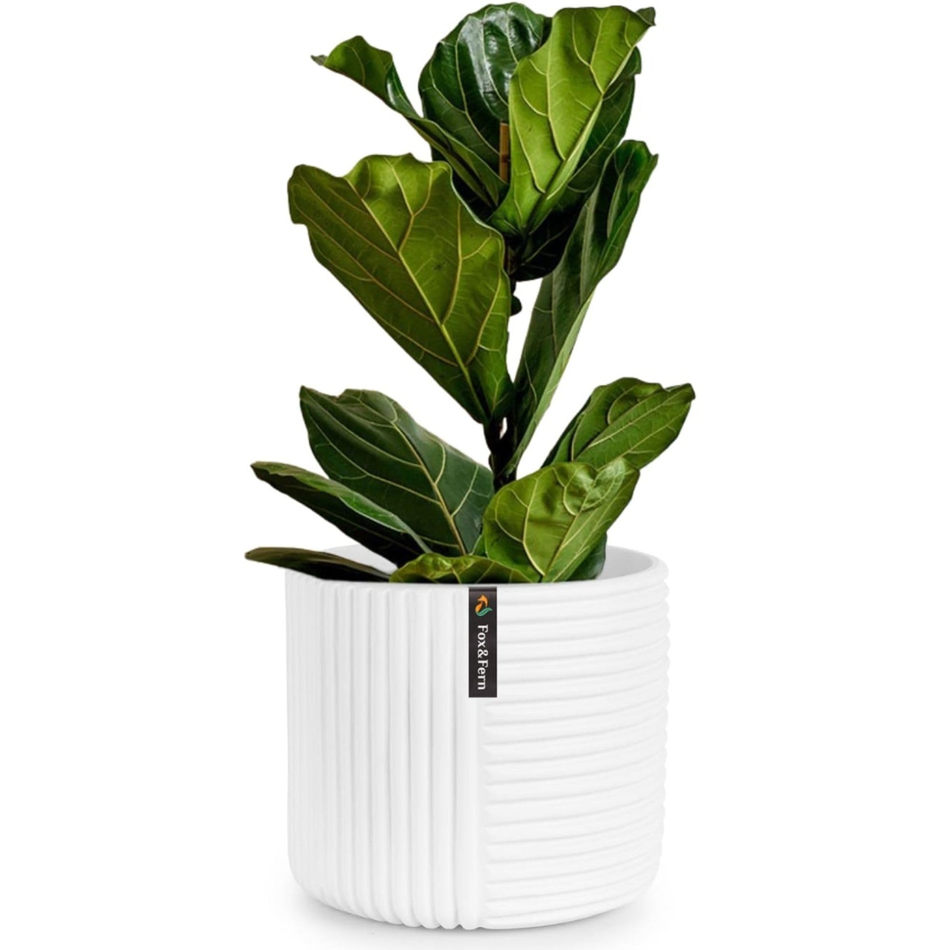 Fox & Fern Plant Pot, Large Plant Pots for Indoor & Outdoor, UV & Frost Resistant Plant Vase with Drainage Plug, Fiberstone, Large Indoor Pots for Plants & Flowers, House Indoor Plant Pot, Single Pot