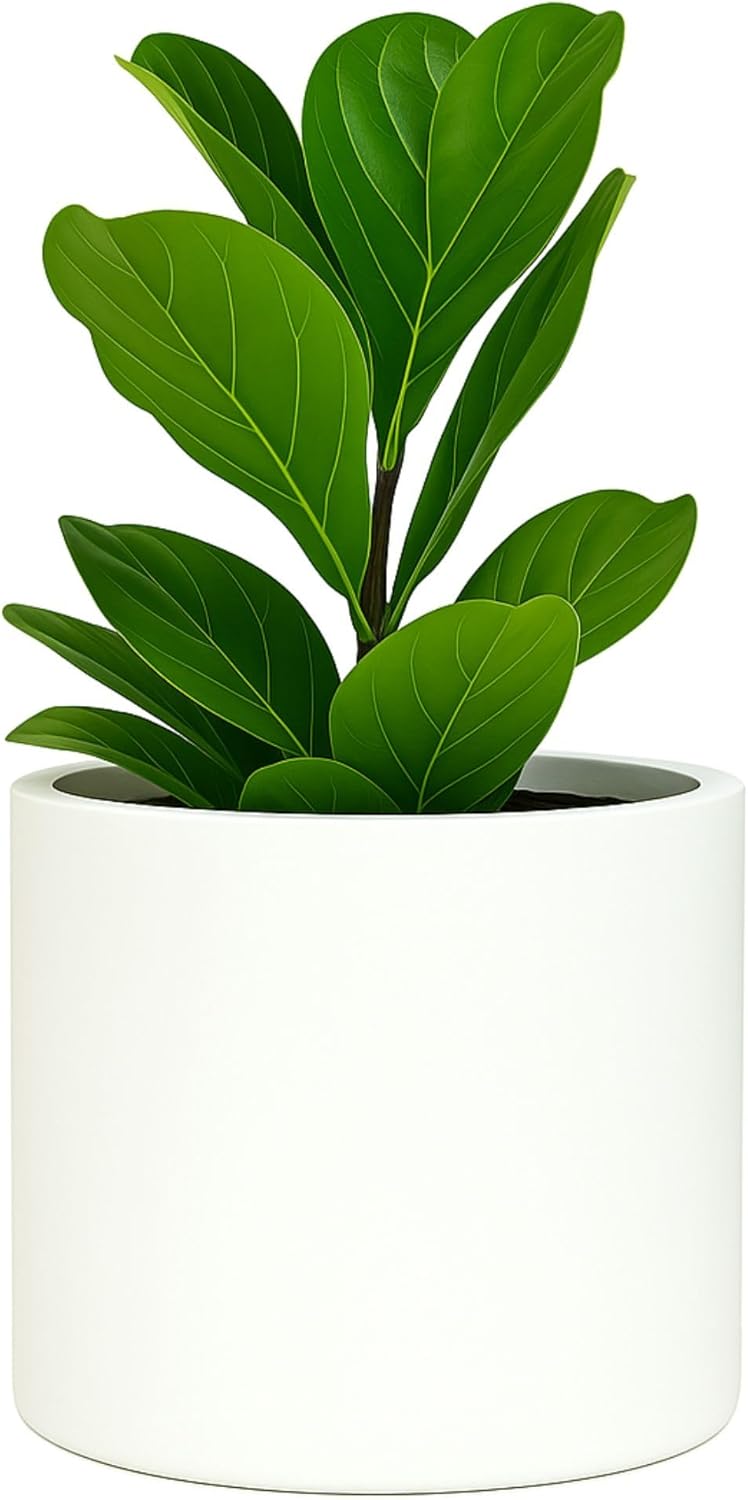 Fox & Fern Plant Pot, Large Plant Pots for Indoor & Outdoor, UV & Frost Resistant Plant Vase with Drainage Plug, Fiberstone, Large Indoor Pots for Plants & Flowers, House Indoor Plant Pot, Single Pot