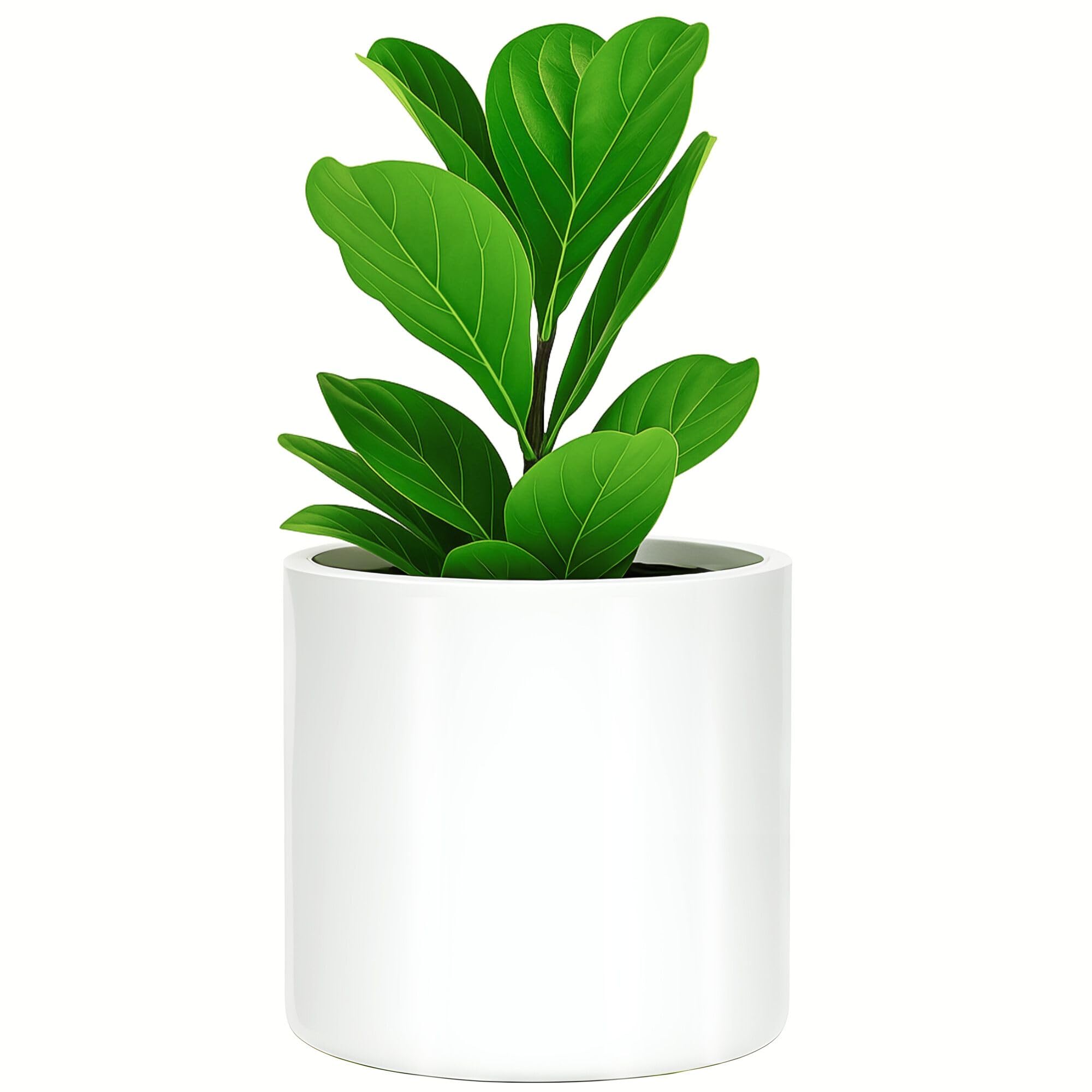 Fox & Fern Plant Pot, Large Plant Pots for Indoor & Outdoor, UV & Frost Resistant Plant Vase with Drainage Plug, Fiberstone, Large Indoor Pots for Plants & Flowers, House Indoor Plant Pot, Single Pot