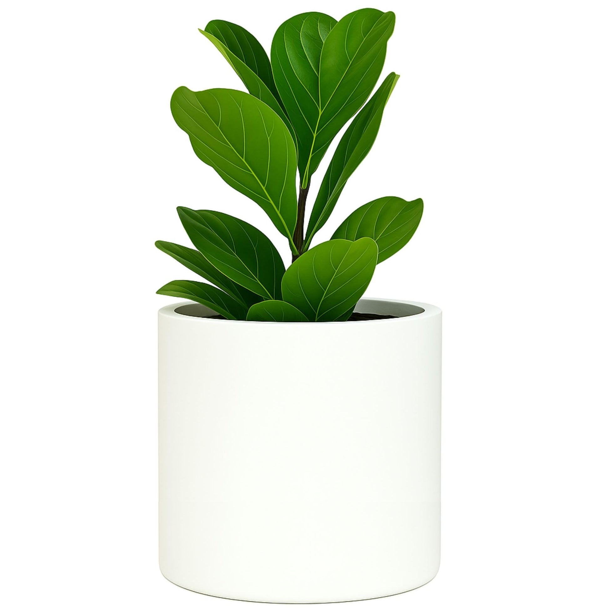 Fox & Fern Plant Pot, Large Plant Pots for Indoor & Outdoor, UV & Frost Resistant Plant Vase with Drainage Plug, Fiberstone, Large Indoor Pots for Plants & Flowers, House Indoor Plant Pot, Single Pot