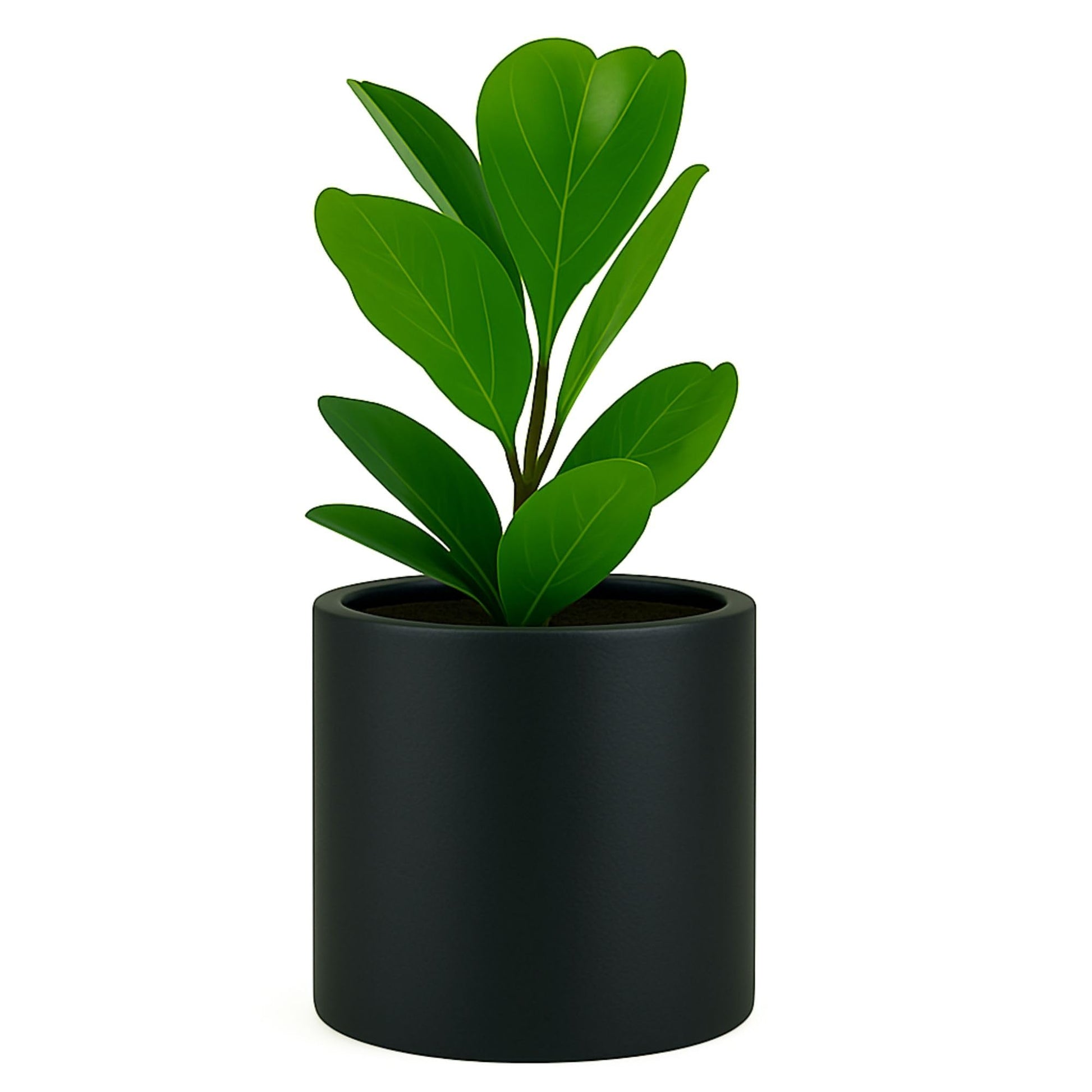 Fox & Fern Plant Pot, Large Plant Pots for Indoor & Outdoor, UV & Frost Resistant Plant Vase with Drainage Plug, Fiberstone, Large Indoor Pots for Plants & Flowers, House Indoor Plant Pot, Single Pot