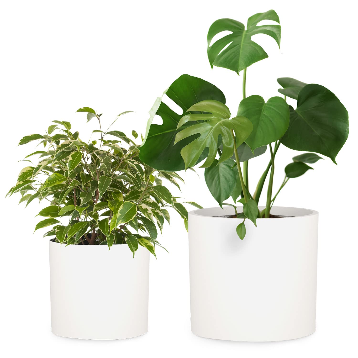 Fox & Fern Plant Pot, Large Plant Pots for Indoor & Outdoor, UV & Frost Resistant Plant Vase with Drainage Plug, Fiberstone, Large Indoor Pots for Plants & Flowers, House Indoor Plant Pot, Single Pot