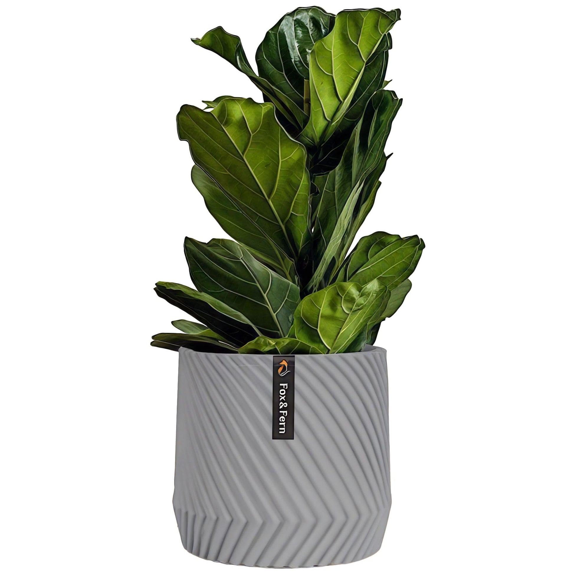 Fox & Fern Plant Pot, Large Plant Pots for Indoor & Outdoor, UV & Frost Resistant Plant Vase with Drainage Plug, Fiberstone, Large Indoor Pots for Plants & Flowers, House Indoor Plant Pot, Single Pot