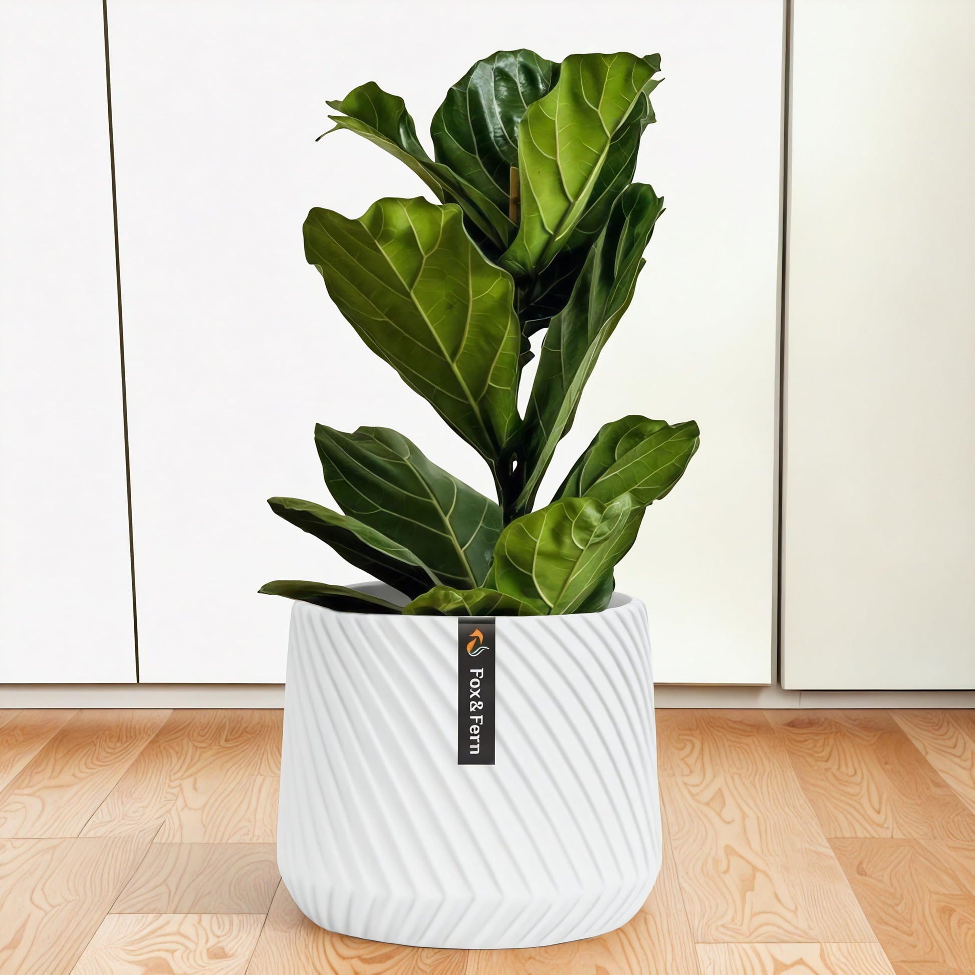 Fox & Fern Plant Pot, Large Plant Pots for Indoor & Outdoor, UV & Frost Resistant Plant Vase with Drainage Plug, Fiberstone, Large Indoor Pots for Plants & Flowers, House Indoor Plant Pot, Single Pot